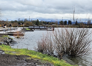 Foster and smith pond supplies sales